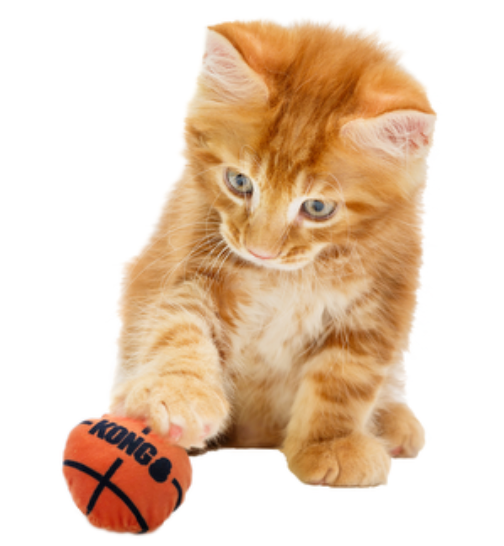 Kong Cat Sport Balls Multipack