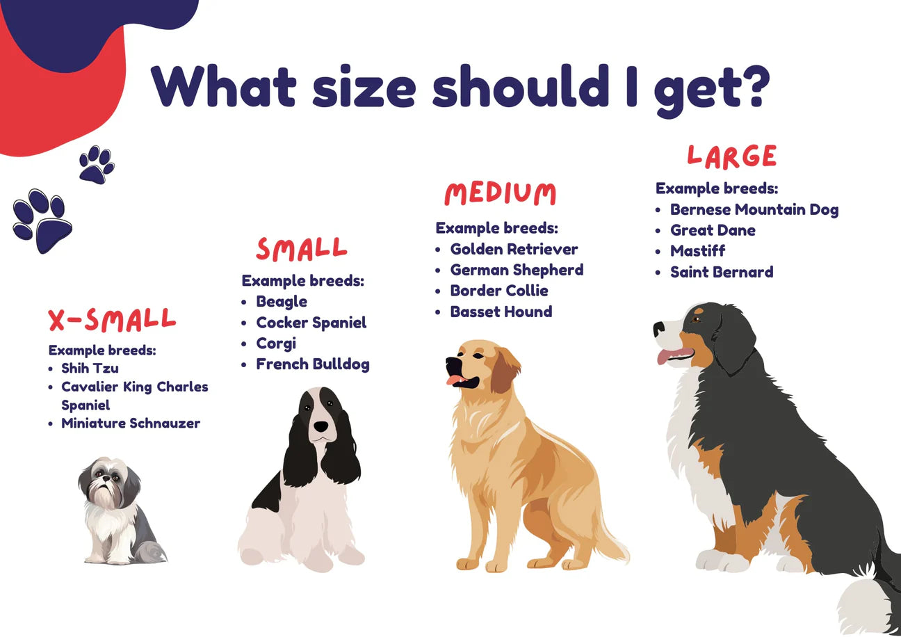 Mind The Fluff "I Need Space" Bandana