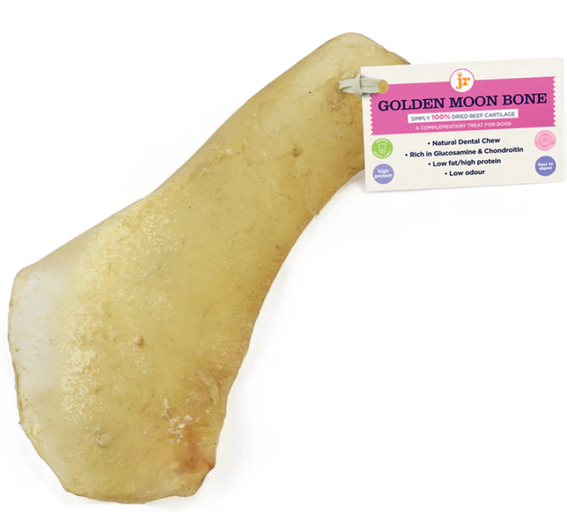 Moon Bone (Cartilage)