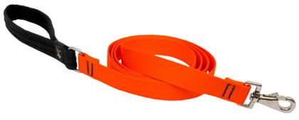 Lupine Basics Lead