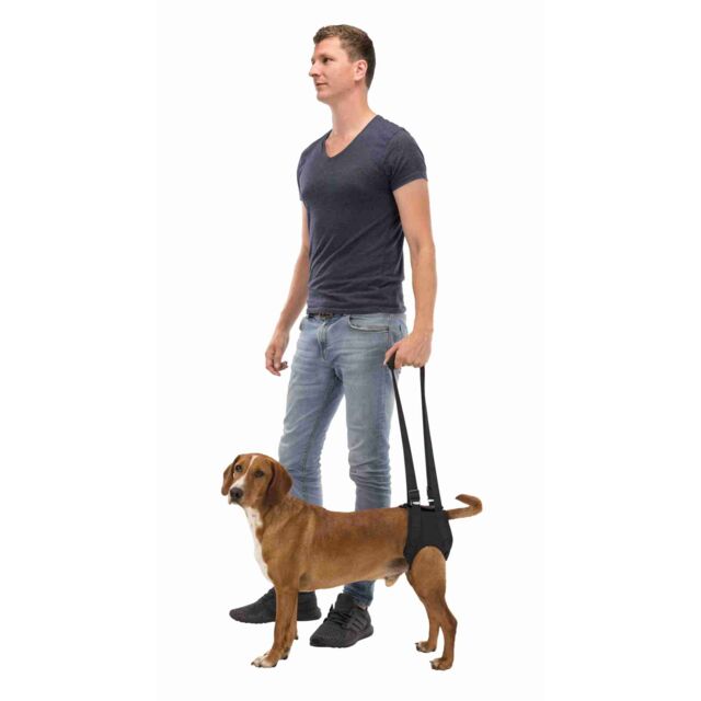 Trixie Walking Aid