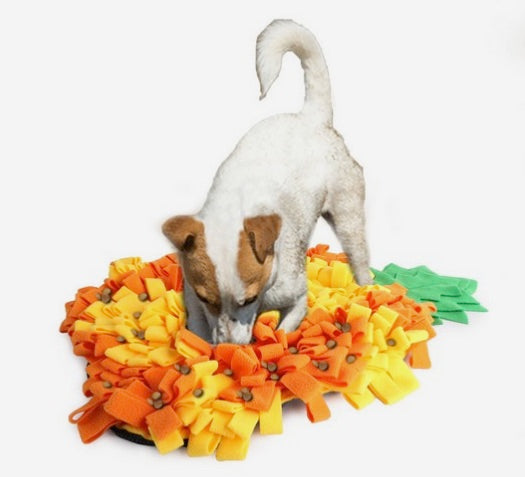 All For Paws Dig It Snuffle Mat
