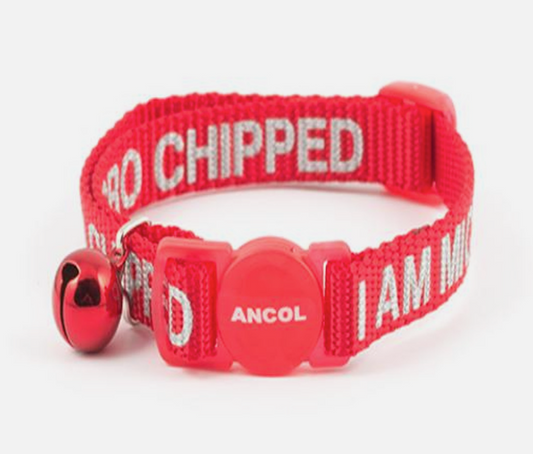 Ancol Cat Collar "Microchipped"