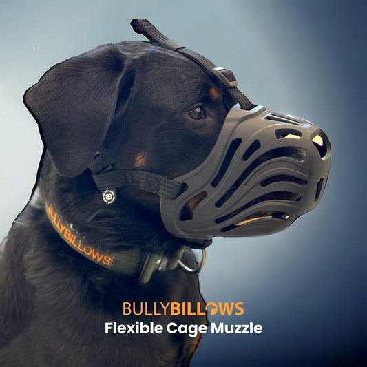 Bully Billows Cage Muzzle