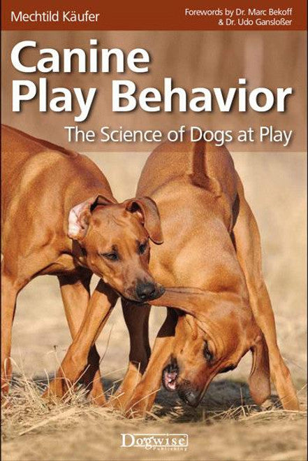 Canine Play Behaviour