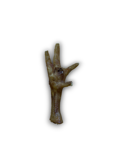 Chicken Foot