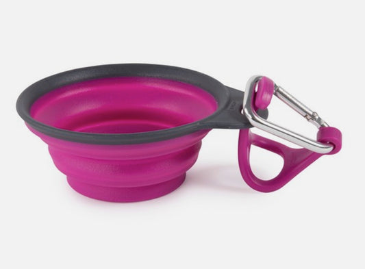 Dexas Collapsible Travel Cup with bottle holder & carabiner