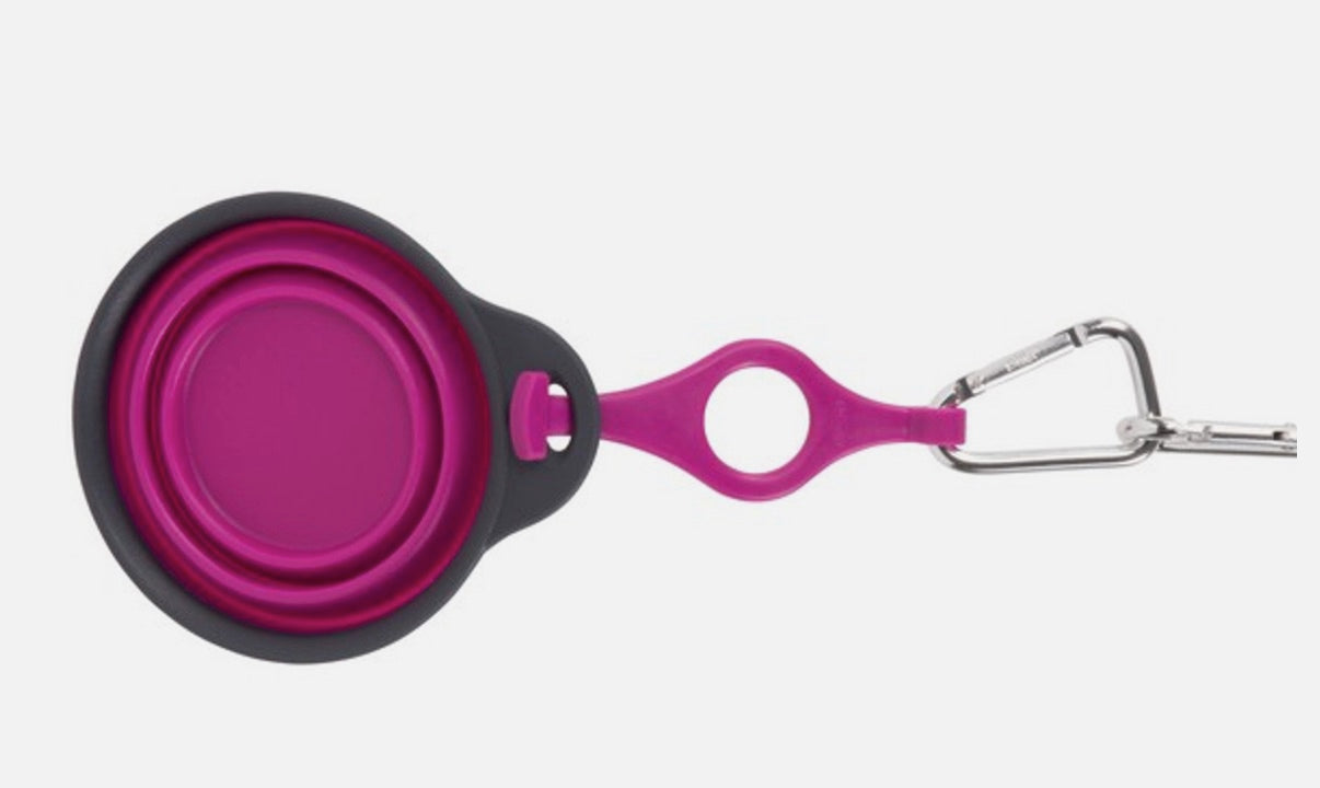 Dexas Collapsible Travel Cup with bottle holder & carabiner