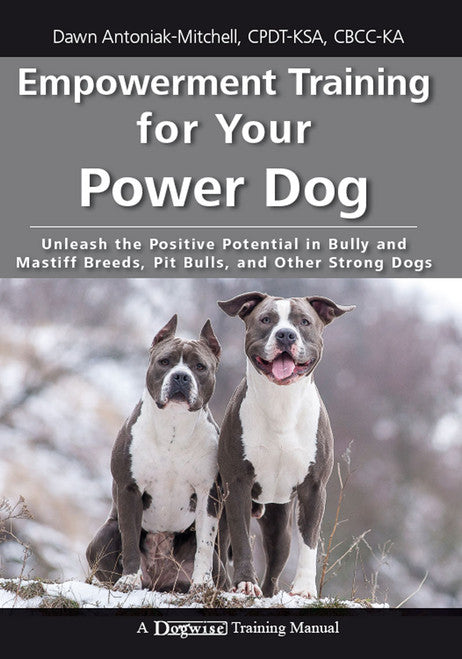 Empowerment Training for your Power Dog