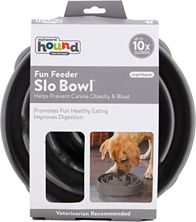 Outward Hound Fun Feeder Slo Bowl