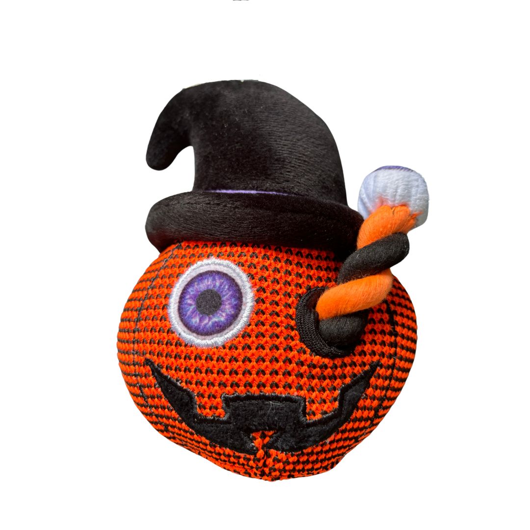 Happy Pet Halloween Toy