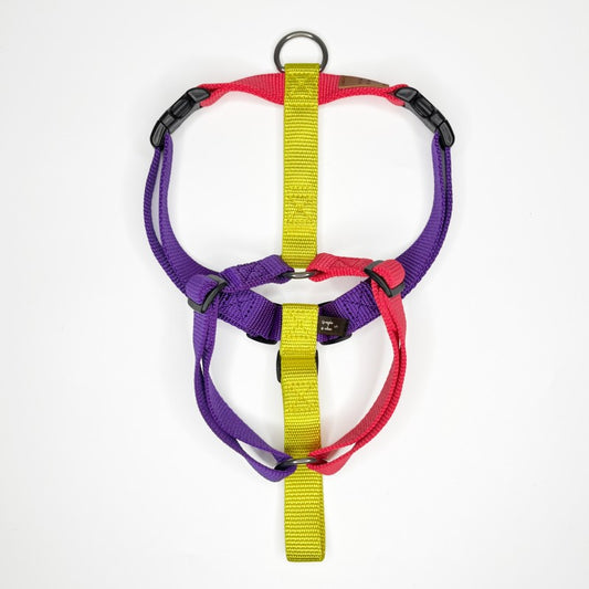 Haqihana Harness Nineties