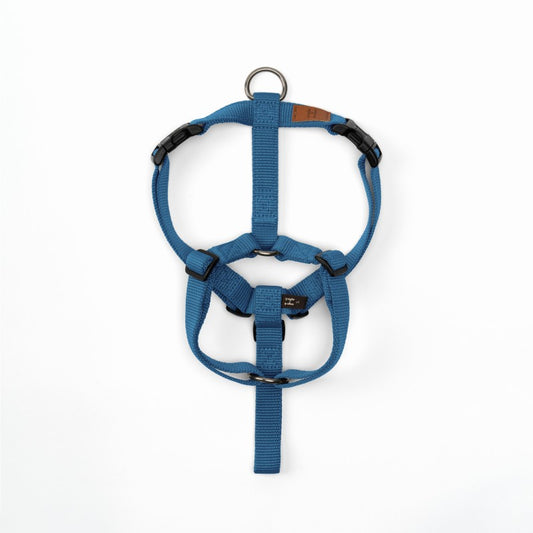 Haqihana Harness Turquoise