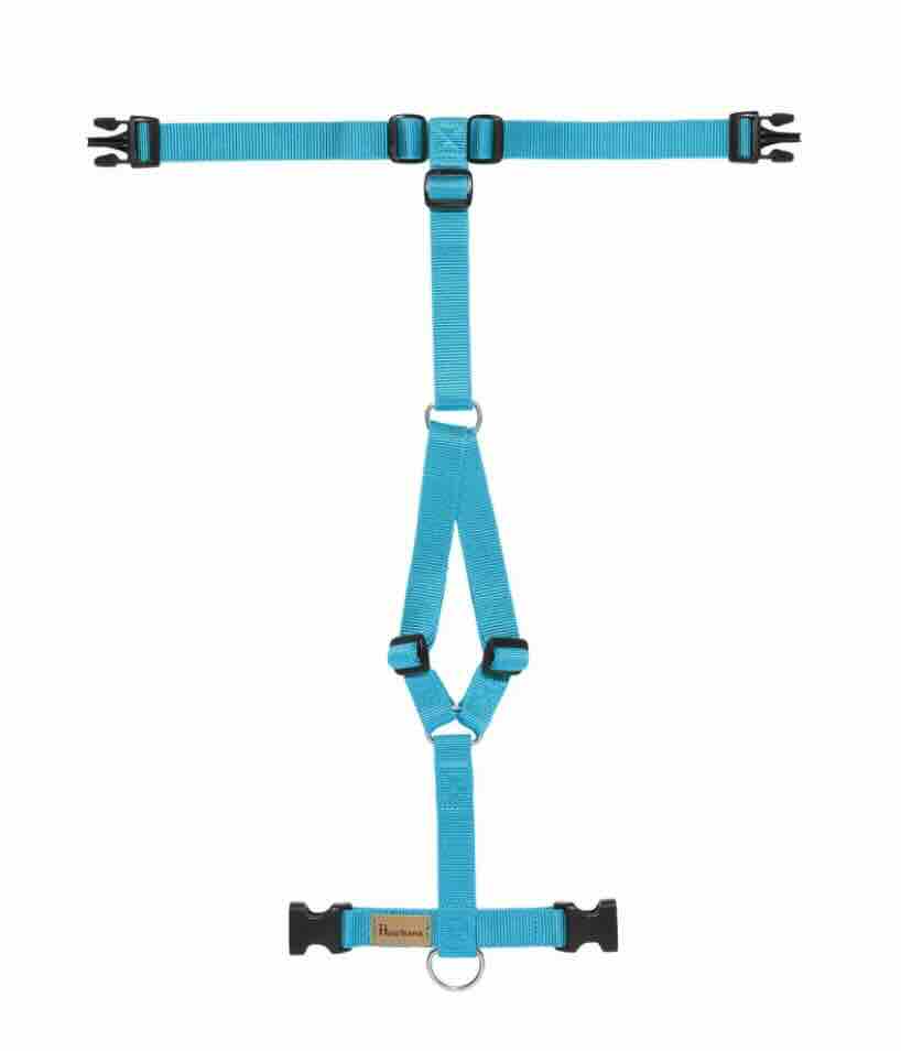 Haqihana Harness Arctic