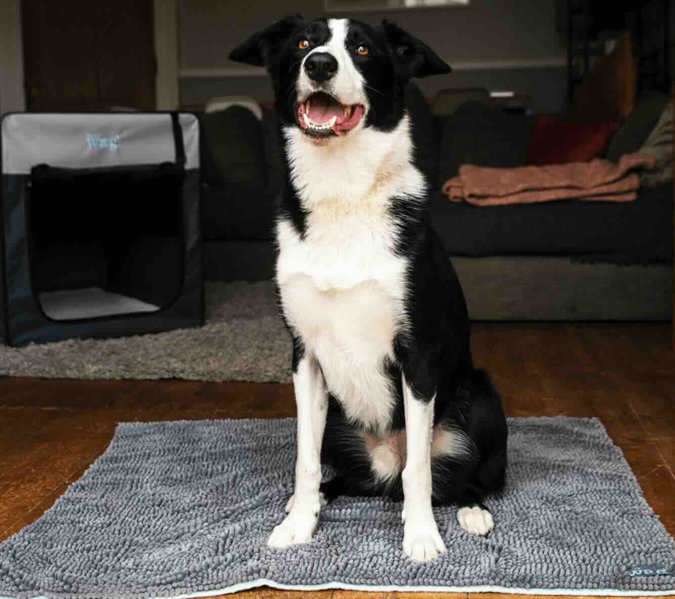 Henry Wag Noodle Pet Mat