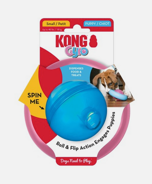 Kong Gyro for puppies