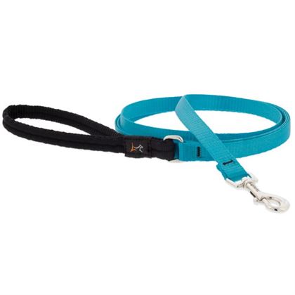Lupine Basics Lead