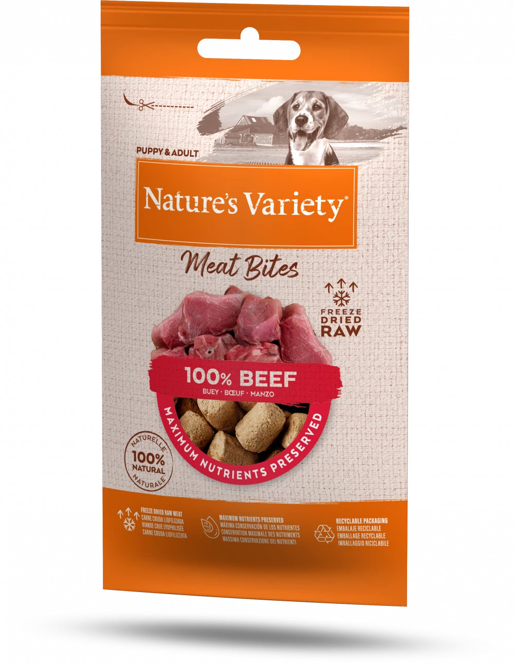 Natures Variety Meat Bites