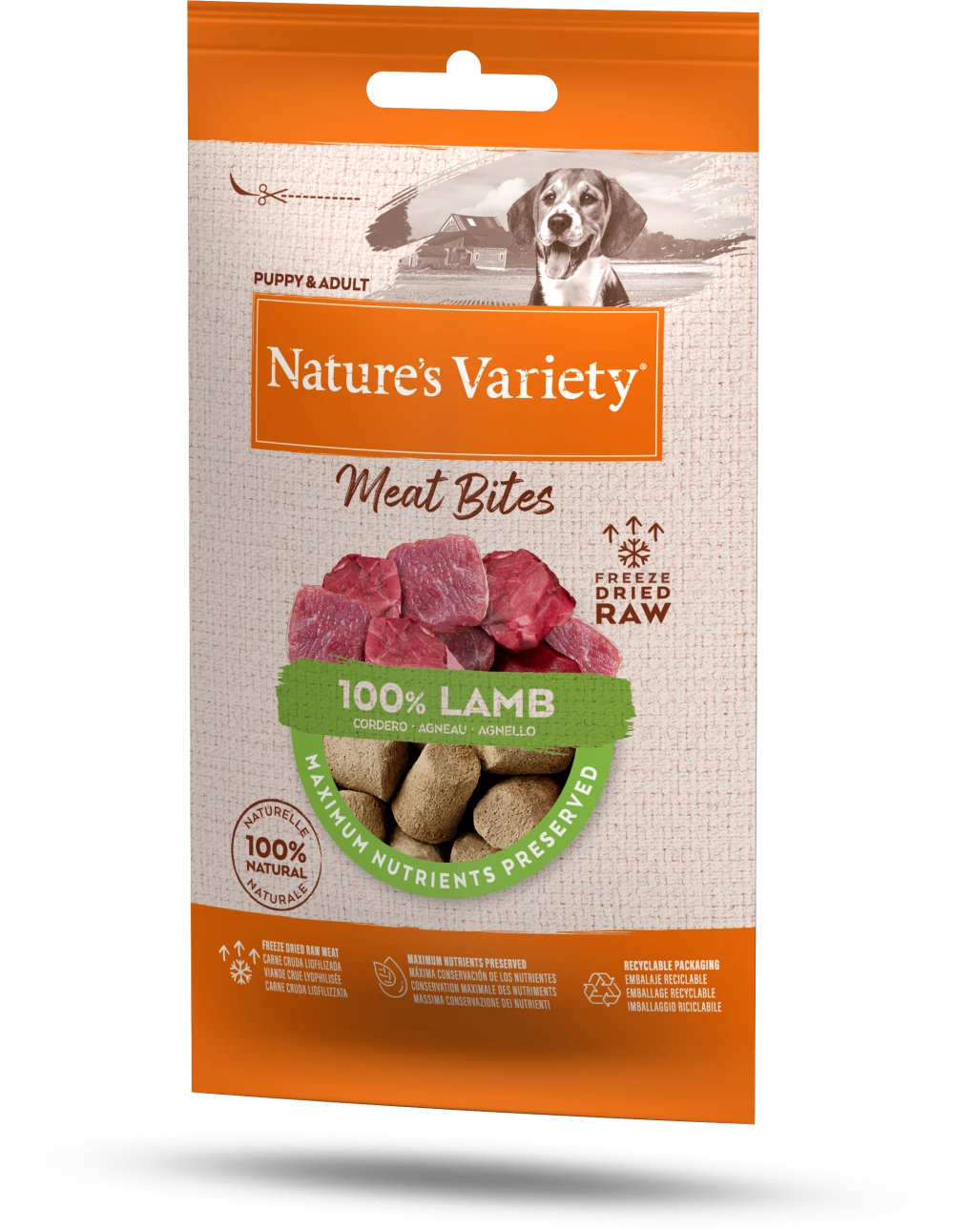 Natures Variety Meat Bites