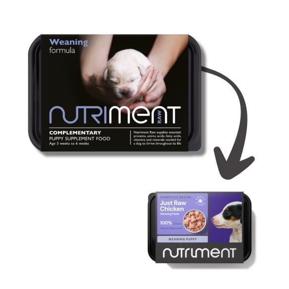 Nutriment Puppy Weaning Paste 500g