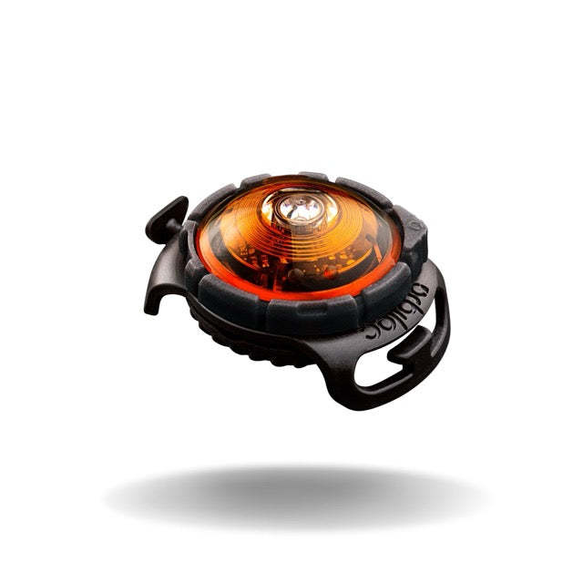 Orbiloc safety light
