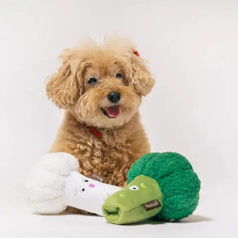 P.L.A.Y Plush Dog Toy