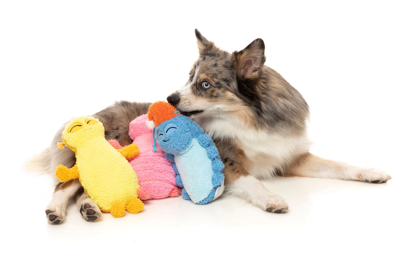 P.L.A.Y Plush Dog Toy