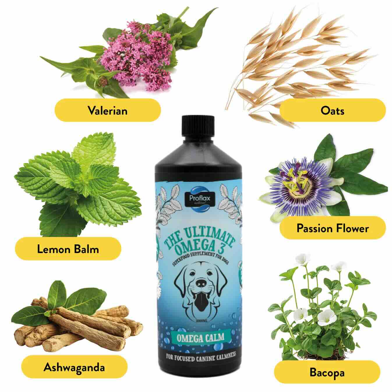 Proflax Mini Chill Out Bundle