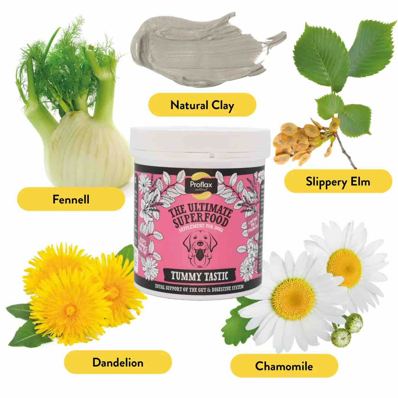 Proflax Mini Chill Out Bundle