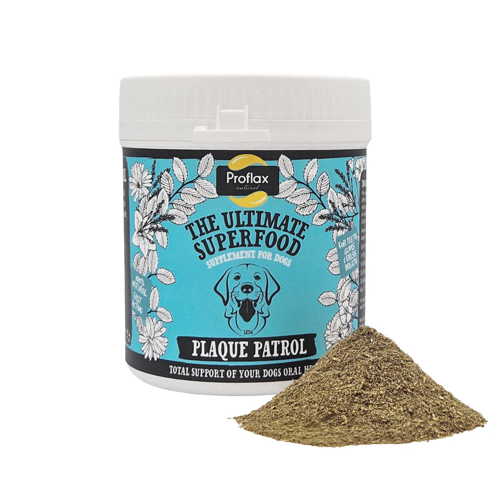 Proflax Plaque Patrol