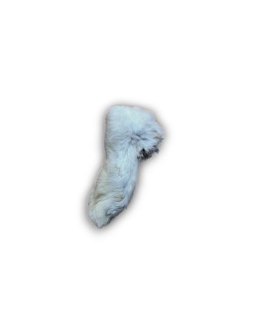 Rabbit Foot Hairy