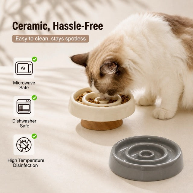 Ceramic Raised Slow Feeder Bowl
