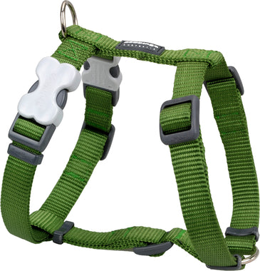 Red Dingo Harness