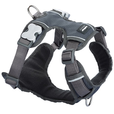 Red Dingo Padded Harness