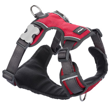 Red Dingo Padded Harness