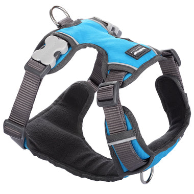 Red Dingo Padded Harness