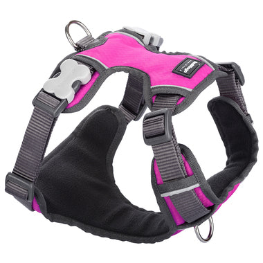 Red Dingo Padded Harness