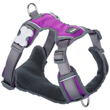 Red Dingo Padded Harness