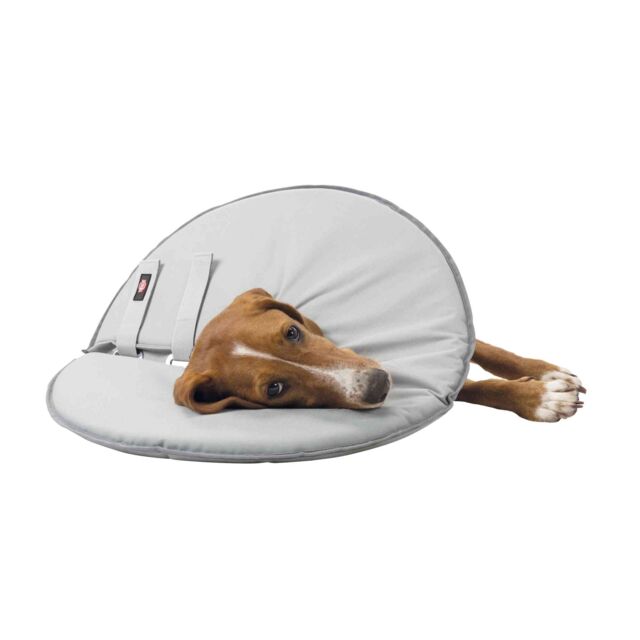 Trixie Protective Collar