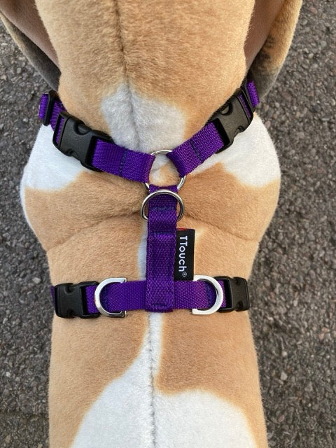 TTouch Harness – Eat Play Love - Main Image