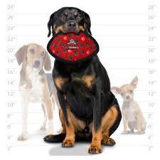 Tuffy Ultimate Odd Ball