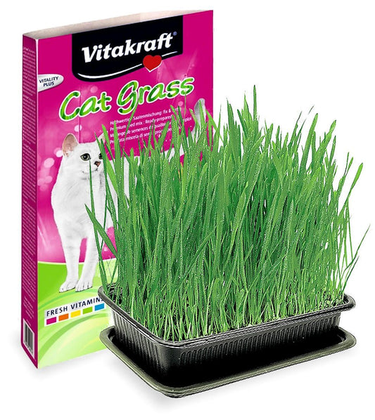 Vitakraft Cat Grass