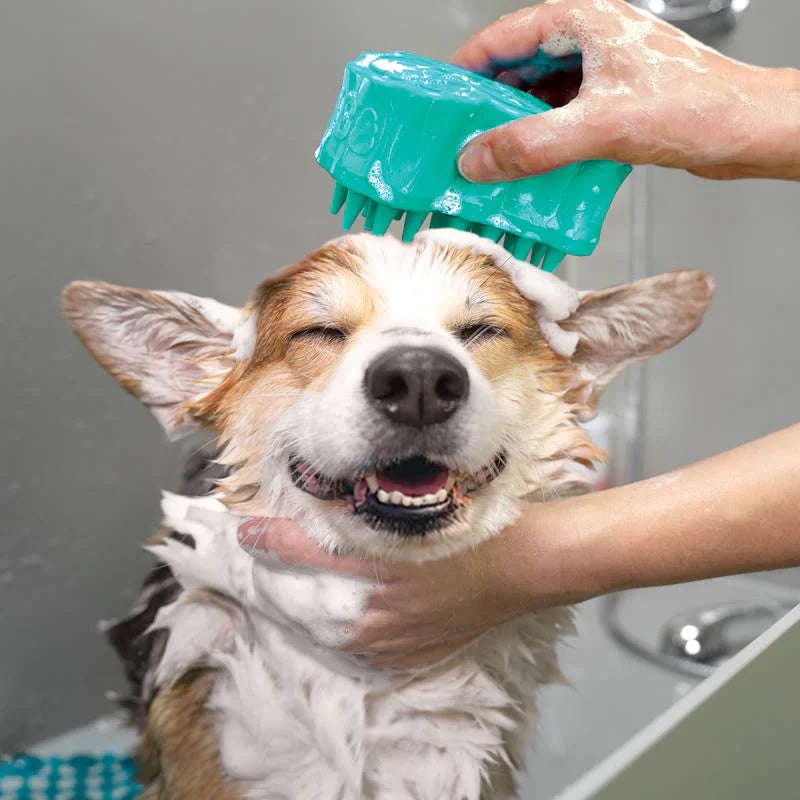 Kong ZoomGroom Bubbles