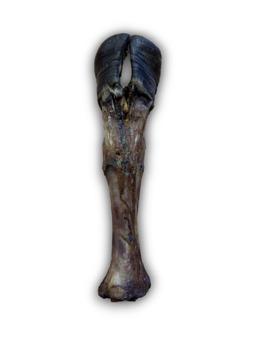 Cow Leg